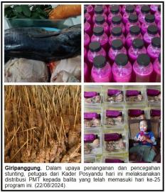 Distribusi Hari ke 25 Pemberian Makanan Tambahan untuk Cegah Stunting di Kalurahan Giripanggung